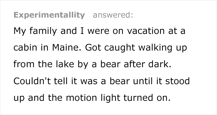 Someone Asks Whether Dog Owners Would Give 5 Years Of Their Life To Their Dog, And This Reply Goes Viral