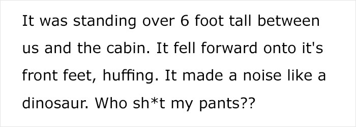 Someone Asks Whether Dog Owners Would Give 5 Years Of Their Life To Their Dog, And This Reply Goes Viral