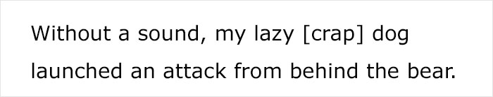 Someone Asks Whether Dog Owners Would Give 5 Years Of Their Life To Their Dog, And This Reply Goes Viral