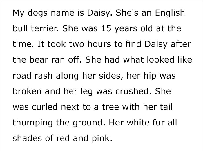 Someone Asks Whether Dog Owners Would Give 5 Years Of Their Life To Their Dog, And This Reply Goes Viral