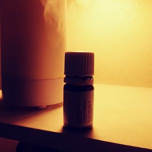 emilywilliams_4 avatar