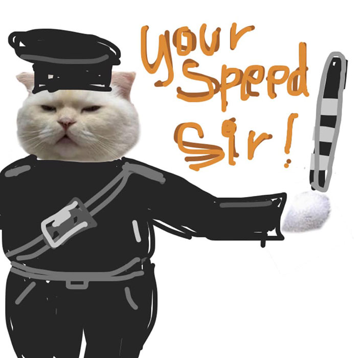 Drawing-Cat-People-Art