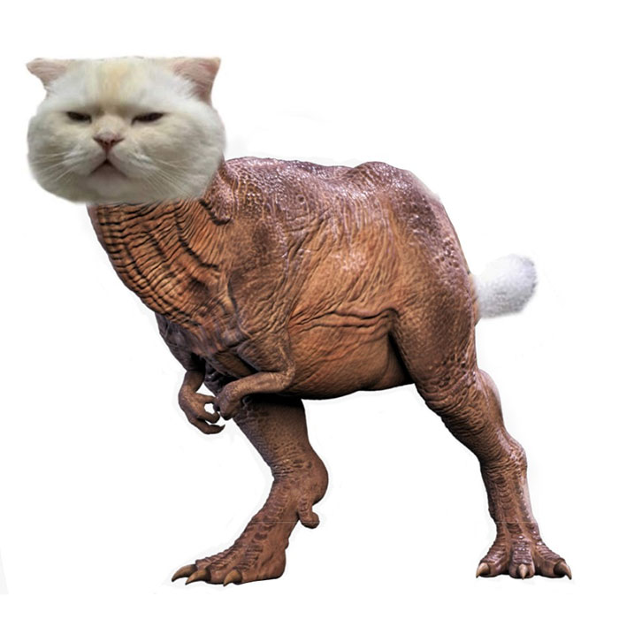 Drawing-Cat-People-Art