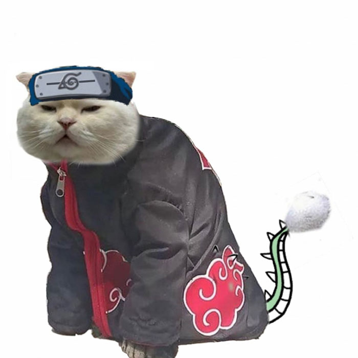 Drawing-Cat-People-Art