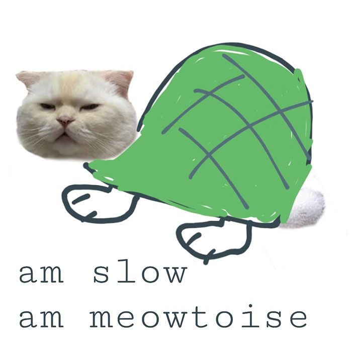 Drawing-Cat-People-Art