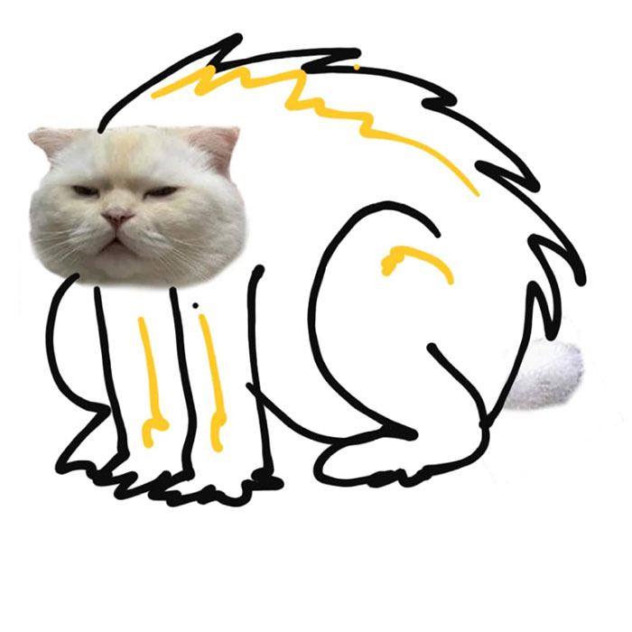 Drawing-Cat-People-Art