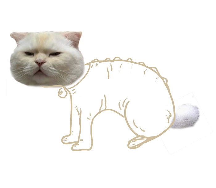 Drawing-Cat-People-Art