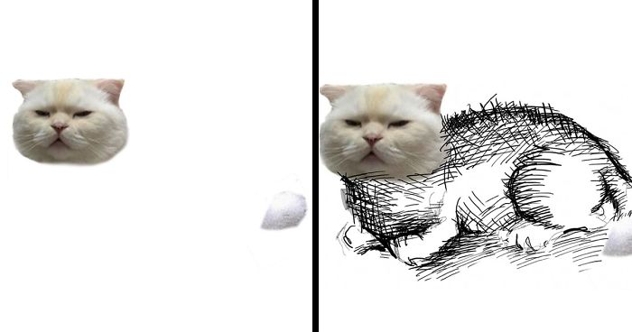 Someone Asks People To Draw A Cat Using This Template And People Create The Wildest Illustrations