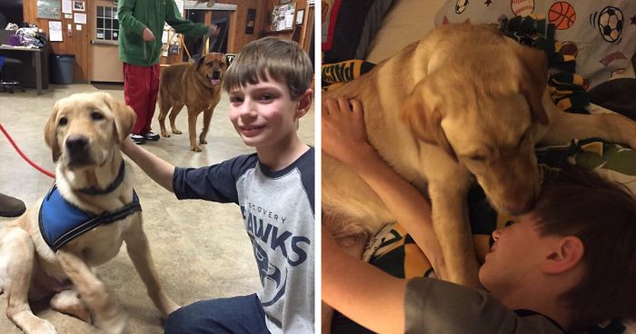 The Story Of My Service Doge, Chopper