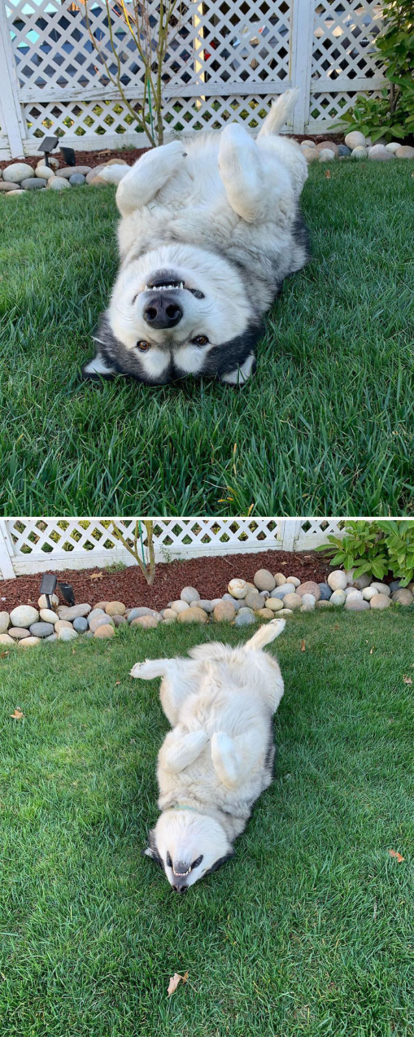 Figuring Out What To Do