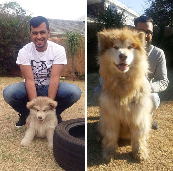 Tydus Has A One Really Impressive Skill: Making Hoomans Disappear 