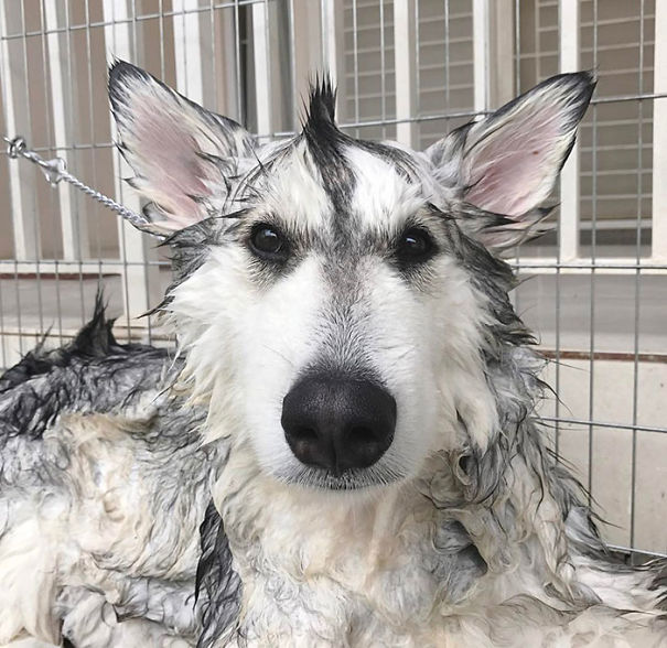 Grumpy Baby Is Grumpy