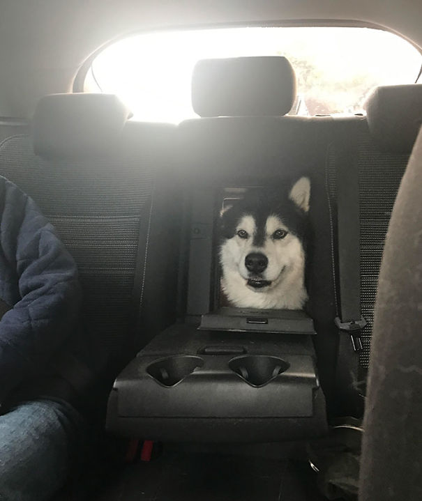 Hello, Do You Have A Moment To Talk About Jesus Christ?