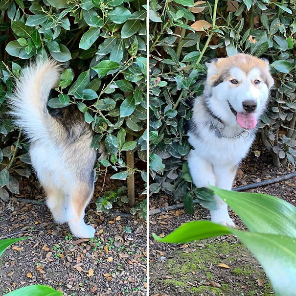 One Portal Here, Another One There