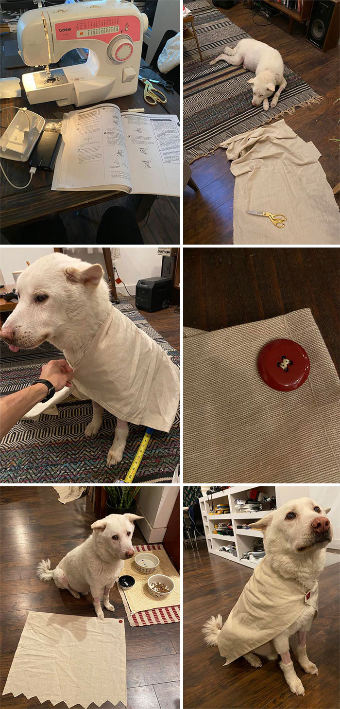 How I’ve Been Using Quarantine Time