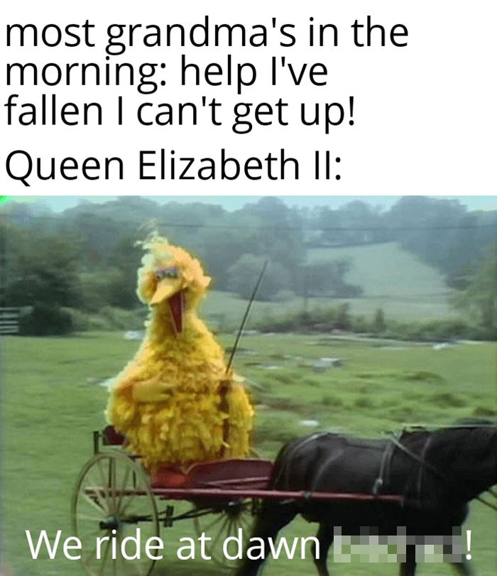 A cartoon bird on a horse-drawn carriage, humorously implying Queen's immortality with text overlay.