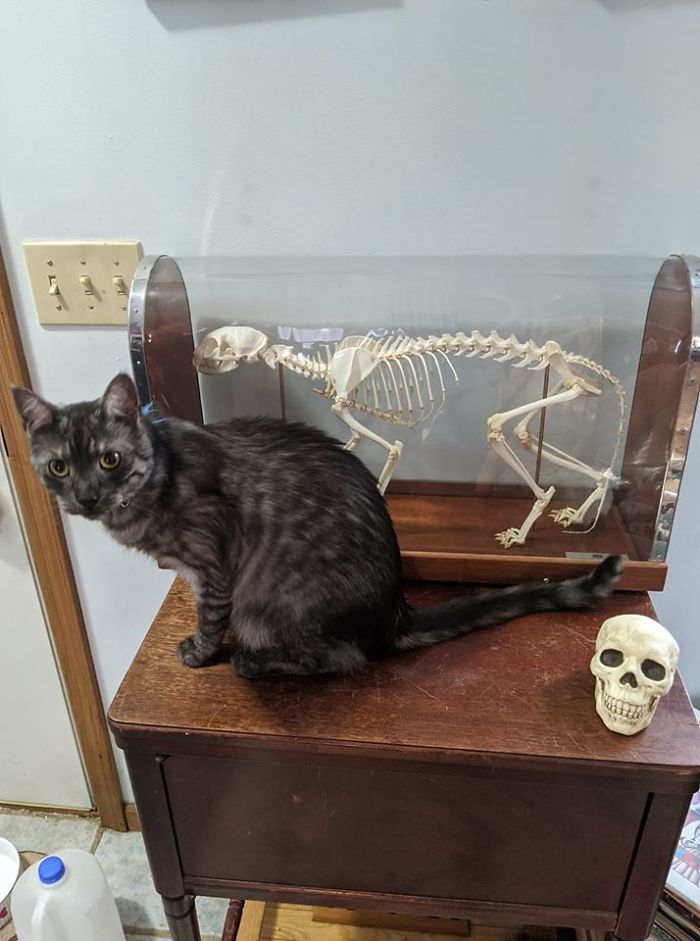 My Father Works For The Local School System And They Were Throwing This Out. Yes It Now Has A Forever Home! Both The Living And Non Living One