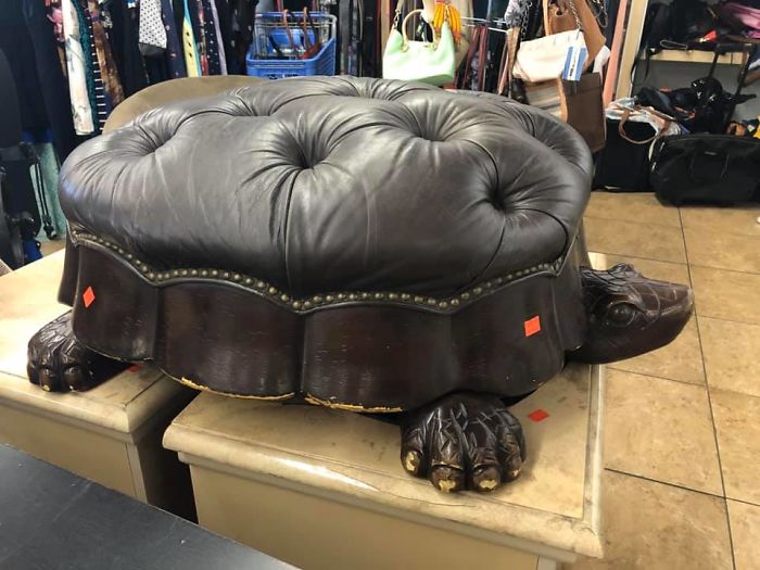 Hunting For House Hippos, I Found A Hassock Tortoise!! At The Gw In Camarillo Today. It’s Too Big For Our Living Room (And A Little Pricey $40). It Did Make My Heart Skip A Beat Tho And I Had To Show You Guys!