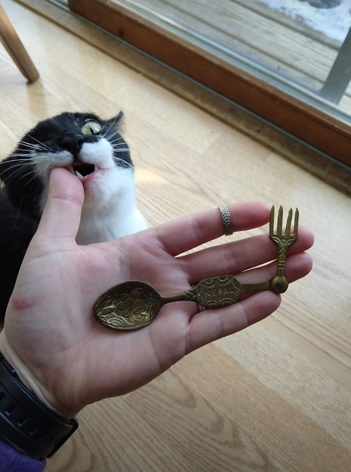 This Is A Spoon That My Mom Gave Me When I Got Married. Her Mom Gave It To Her And I Believe It Is Originally From My Great-Grandmother