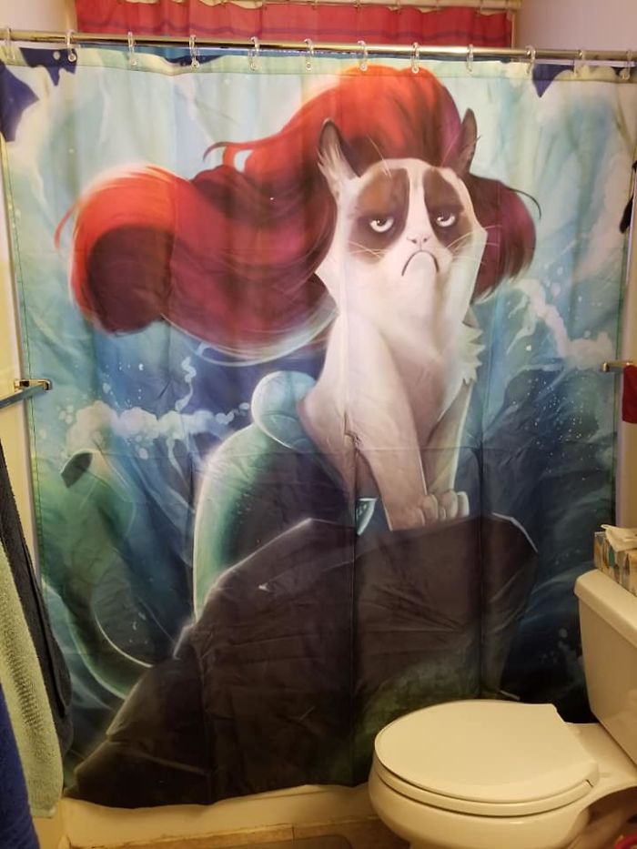 Behold Grumpy Cat In All Her Heavenly Glory!!!!!