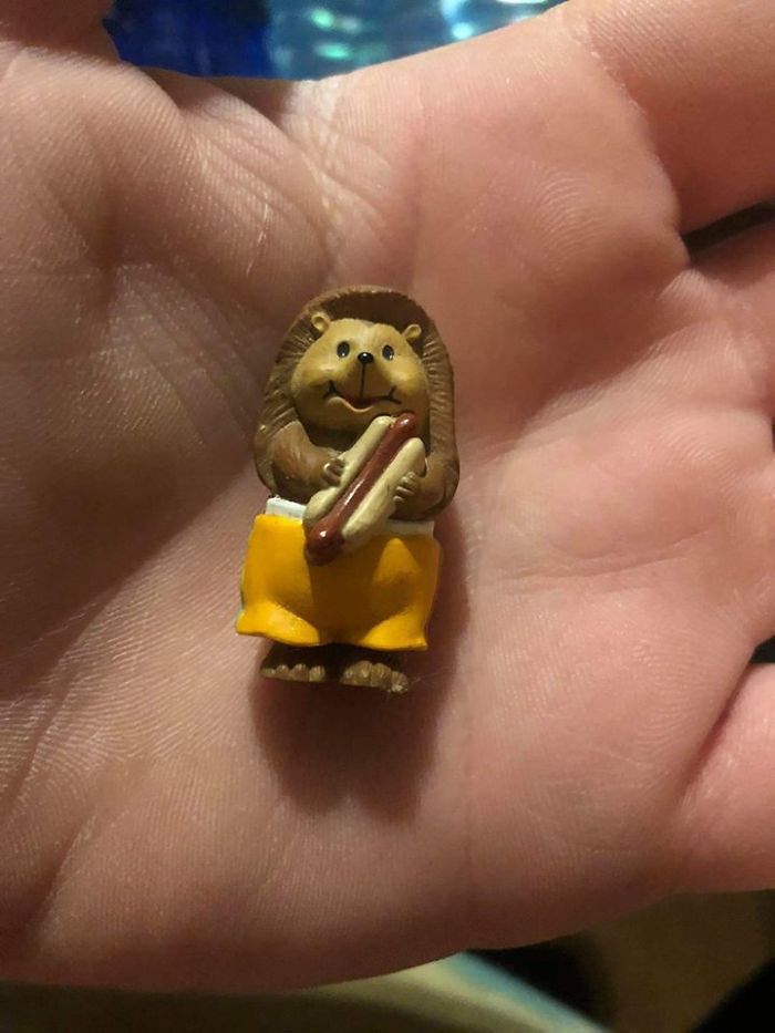 Sadly, I'm Still On The Hunt For A House Hippo. But... I Inherited A Hoarders House And I Have Found Myself A House Hedgehog With A Hotdog. I'm Quite Pleased