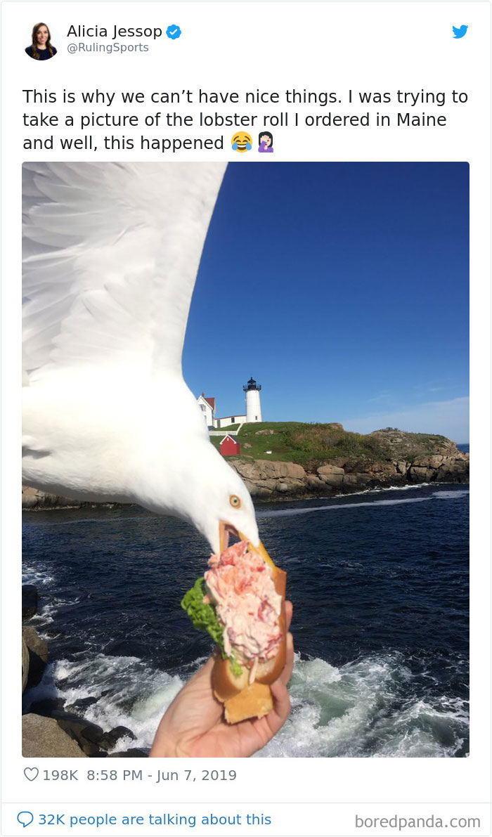 Trying To Take A Picture Of The Lobster Roll