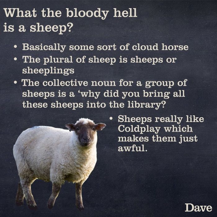 Guide-To-Animals-Daves