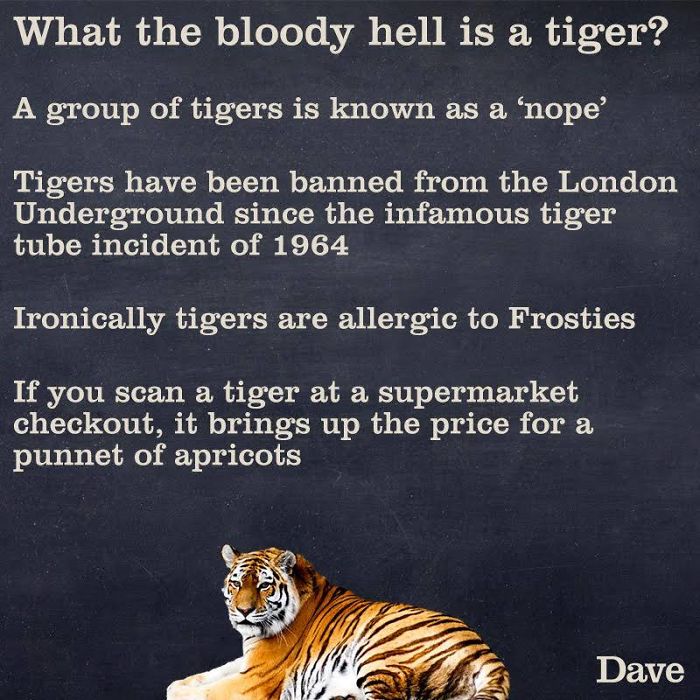 Guide-To-Animals-Daves