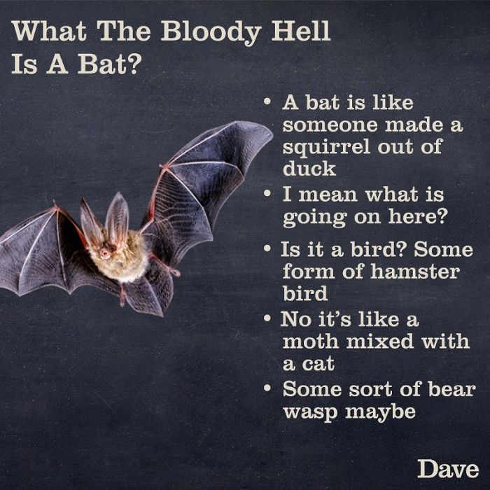 Guide-To-Animals-Daves