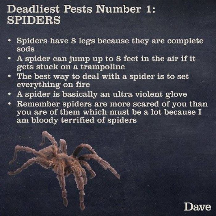 Guide-To-Animals-Daves