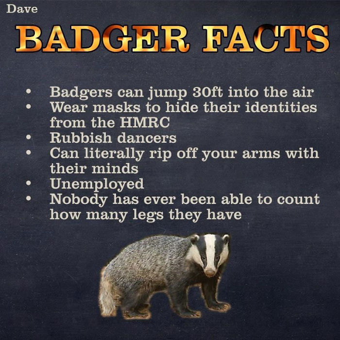 Guide-To-Animals-Daves