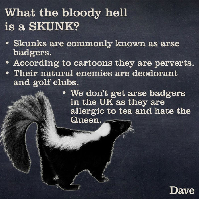 Guide-To-Animals-Daves