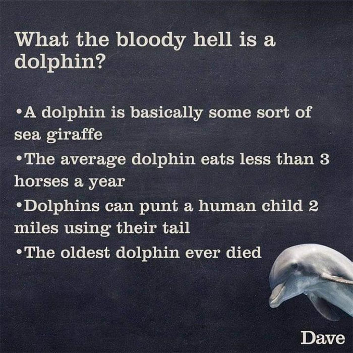 Guide-To-Animals-Daves