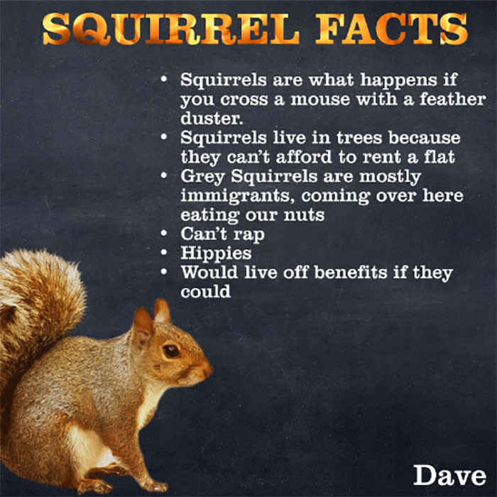Guide-To-Animals-Daves