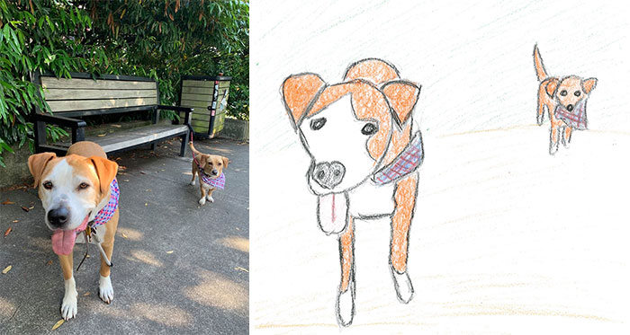 Person Shares What They Got When They Donated $45 To The Humane Society For 3 Hand-Drawn Portraits Of Their Pets