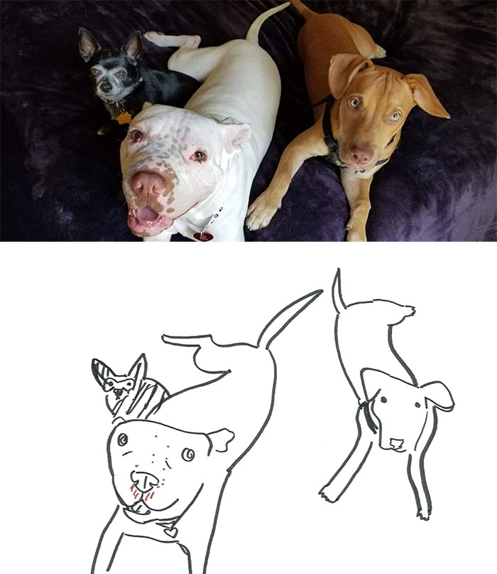 Person Shares What They Got When They Donated $45 To The Humane Society For 3 Hand-Drawn Portraits Of Their Pets