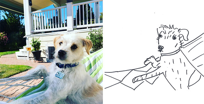 Person Shares What They Got When They Donated $45 To The Humane Society For 3 Hand-Drawn Portraits Of Their Pets