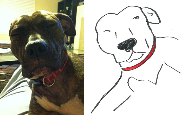 Person Shares What They Got When They Donated $45 To The Humane Society For 3 Hand-Drawn Portraits Of Their Pets