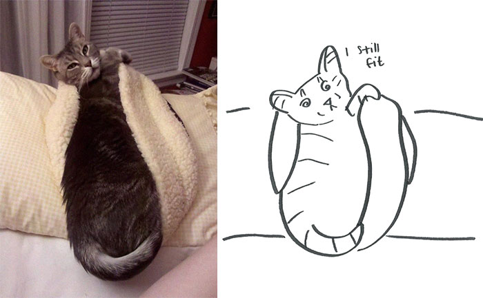 Person Shares What They Got When They Donated $45 To The Humane Society For 3 Hand-Drawn Portraits Of Their Pets Person Shares What They Got When They Donated $45 To The Humane Society For 3 Hand-Drawn Portraits Of Their Pets