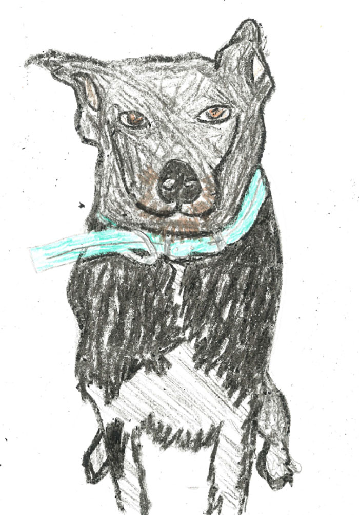 Person Shares What They Got When They Donated $45 To The Humane Society For 3 Hand-Drawn Portraits Of Their Pets
