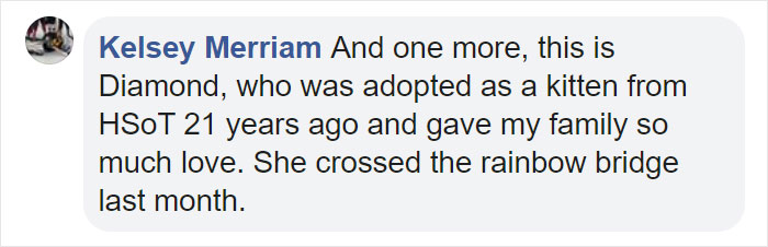 Person Shares What They Got When They Donated $45 To The Humane Society For 3 Hand-Drawn Portraits Of Their Pets Person Shares What They Got When They Donated $45 To The Humane Society For 3 Hand-Drawn Portraits Of Their Pets