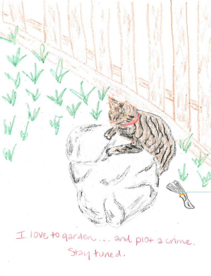 Person Shares What They Got When They Donated $45 To The Humane Society For 3 Hand-Drawn Portraits Of Their Pets