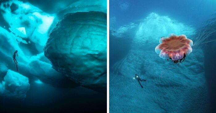 11 Stunning Photos Of What’s Hiding Under The Tip Of The Iceberg By Tobias Friedrich
