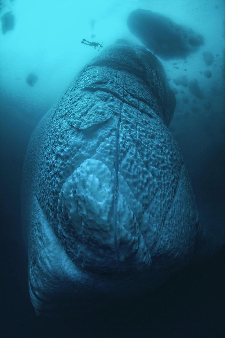 Photographer Takes Incredible Pictures Of Greenland's Underwater Icebergs