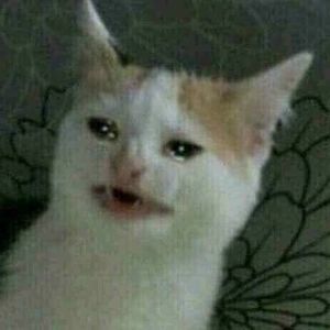 emmalouisehamill avatar