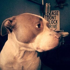 franniemelvin avatar