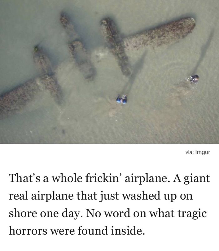 Weirdest Things Found On A Beach