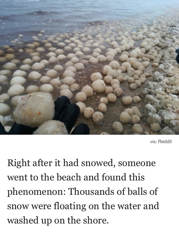 Weirdest Things Found On A Beach