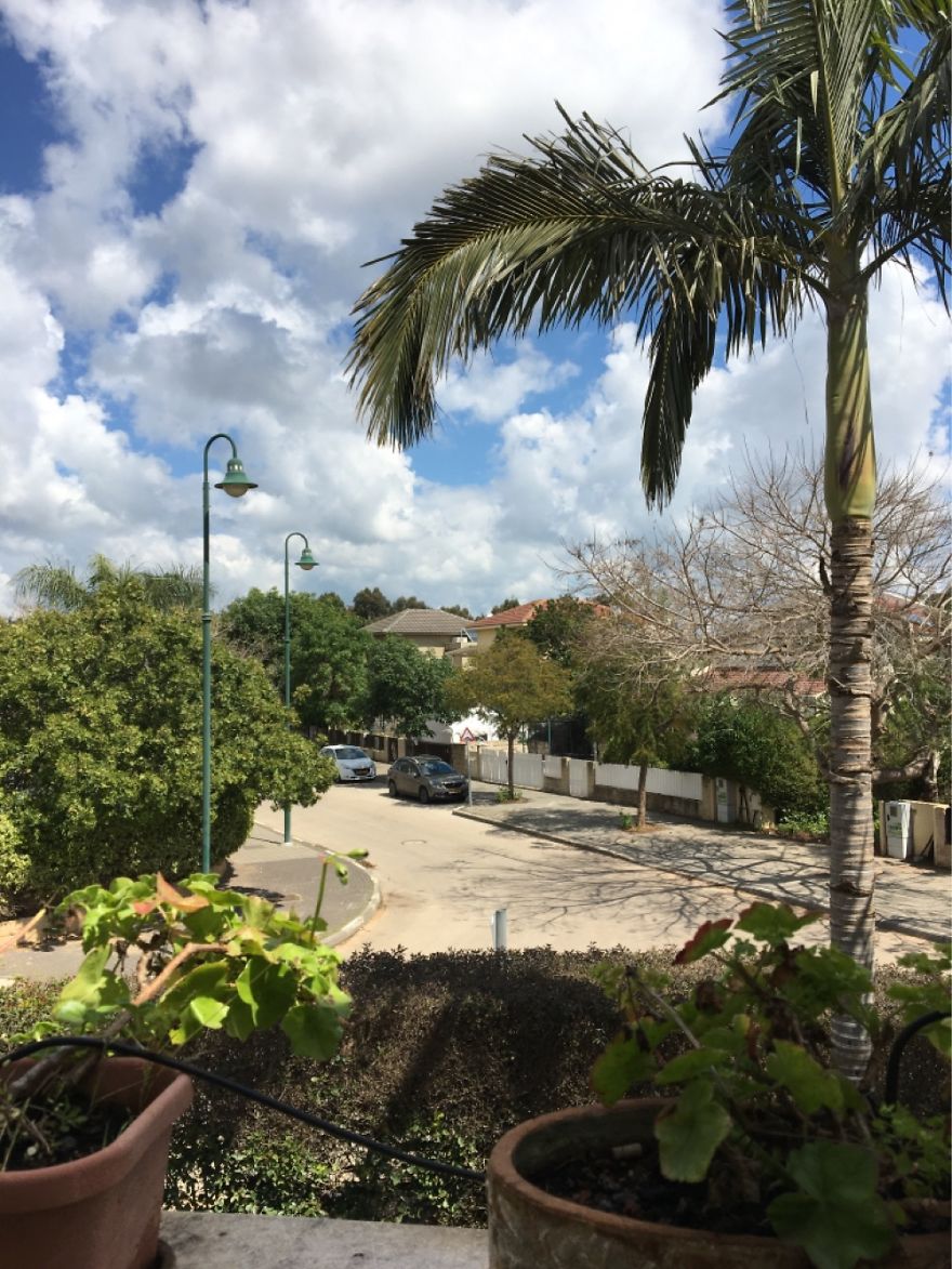 Sunday Morning In Pardes Hanna, Israel