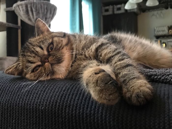 My Coworker Is Bored With Me Right Now.